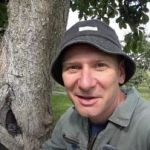 Dutý strom není rozsudek: osvědčený způsob, jak prodloužit životnost stromu