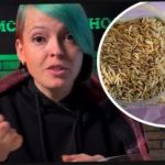 Jak vybrat moštové rostliny a překvapit sousedy úrodou: zahradník dal