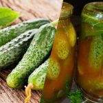 Jak zavřít okurky v chilli kečupu na zimu: 3 bezkonkurenční recepty Jak zavřít okurky v chilli kečupu na zimu: 3 bezkonkurenční