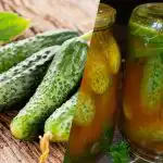 Jak zavřít okurky v chilli kečupu na zimu: 3 bezkonkurenční