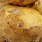 Kdy sázet brambory podle lunárního kalendáře v roce 2026, abyste sklidili dvakrát více než obvykle? kdy-sazet-brambory-podle-lunarniho-kalendare-v-roce-2026-abyste.jpg