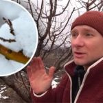 Mohlo by to stát úrodu: co byste nikdy neměli dělat po polevě Mohlo by to stát úrodu: co byste nikdy neměli dělat