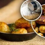 Ne na začátku a ne na konci: kdy je nejlepší