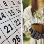 Přesný lunární kalendář pro setí v březnu 2026: co vysadit