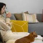 Proč jsou japonské byty vždy dokonale čisté, přestože se v nich uklízí jen velmi zřídka? proc-jsou-japonske-byty-vzdy-dokonale-ciste-prestoze-se-v.webp.webp