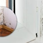 Černá plíseň zmizí za pár minut: existuje jednoduchý lék pro