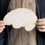 jak-by-mely-vypadat-vykladaci-dny-mozku-odhalil-vedec.jpg