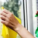 jak-cistit-okna-bez-chemikalii-aby-na-nich-nezustavaly-smouhy.webp.webp