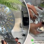 Léty nahromaděný vodní kámen: Jak vyčistit sprchovou hlavici zevnitř ven