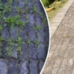 Plevel na cestách zmizí za 3 dny - stačí vám