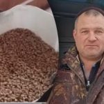 Proč slepice v zimě nesnášejí vejce: pět faktorů, na které