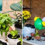 Půda má také datum spotřeby: jak poznat, že se vaše