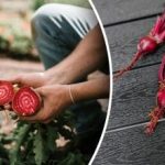 Sousedé se budou smát: které rostliny kazí úrodu řepy